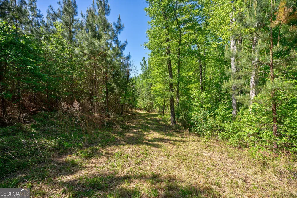 0 Brewer's Bridge RD Elberton, GA 30635