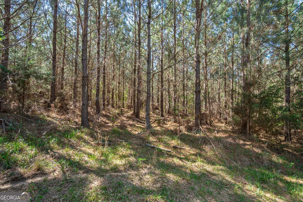 0 Brewer's Bridge RD Elberton, GA 30635