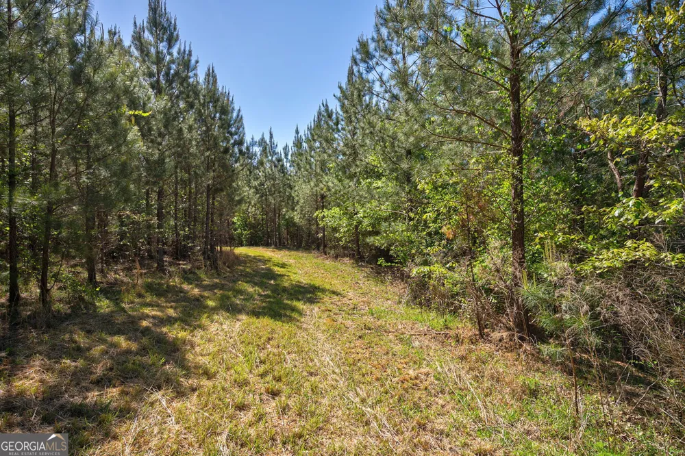 0 Brewer's Bridge RD Elberton, GA 30635