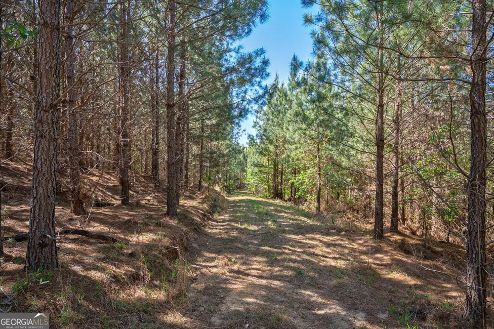 0 Brewer's Bridge RD Elberton, GA 30635