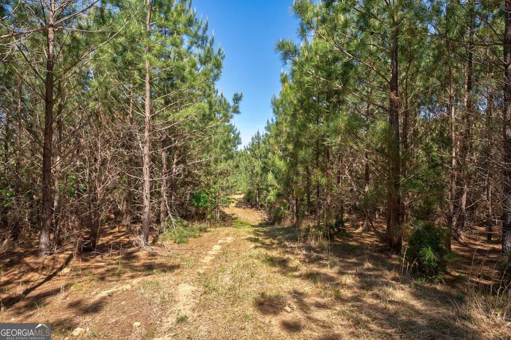 0 Brewer's Bridge RD Elberton, GA 30635