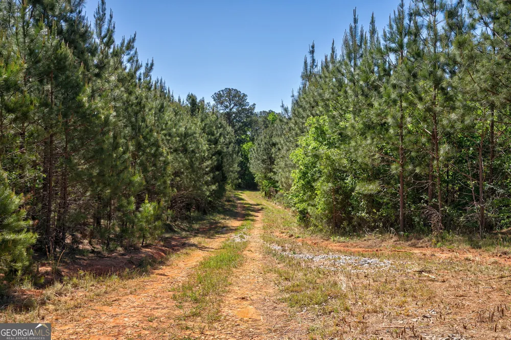 0 Brewer's Bridge RD Elberton, GA 30635
