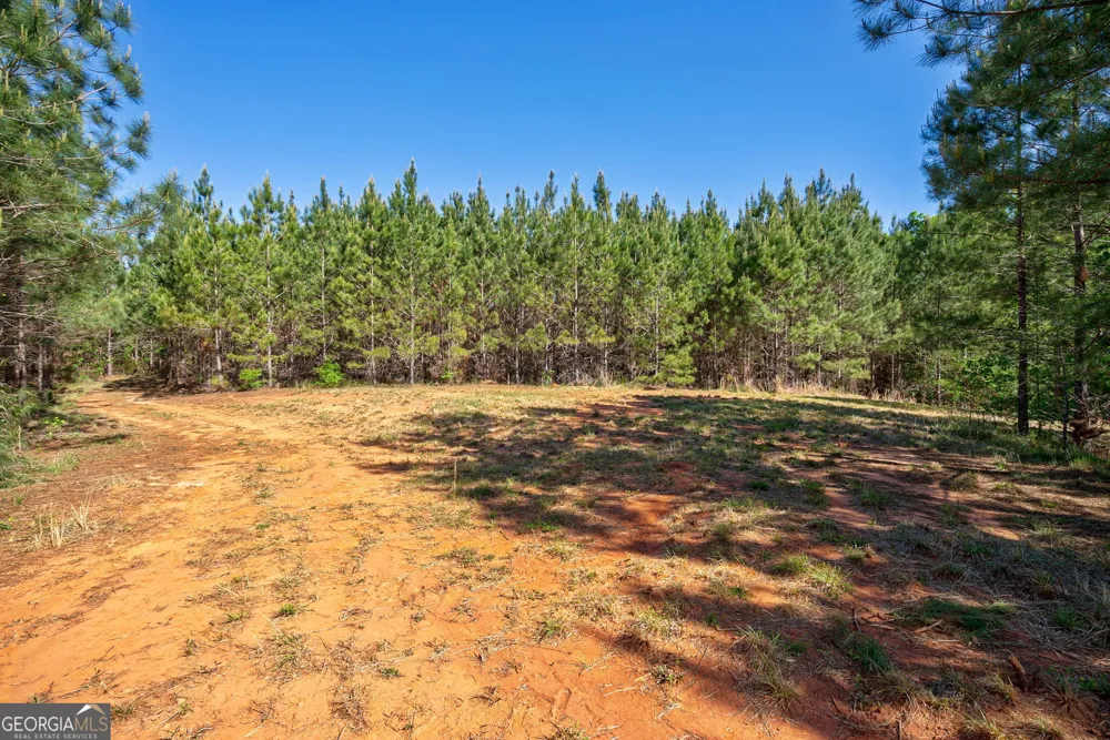 0 Brewer's Bridge RD Elberton, GA 30635