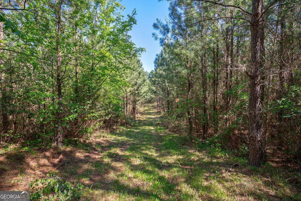 0 Brewer's Bridge RD Elberton, GA 30635