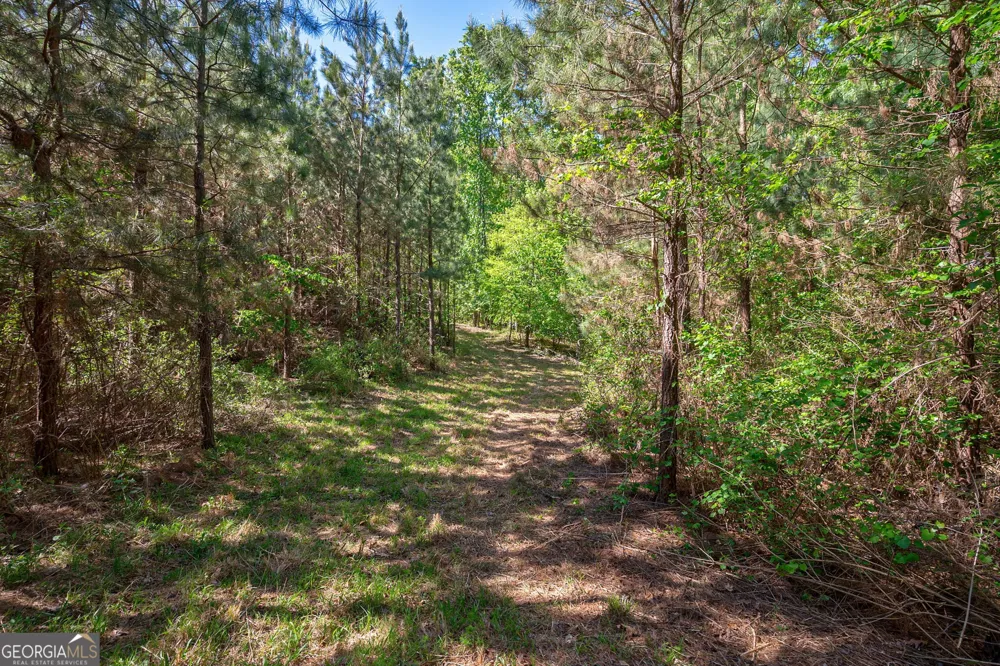 0 Brewer's Bridge RD Elberton, GA 30635