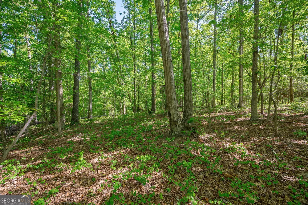 0 Brewer's Bridge RD Elberton, GA 30635