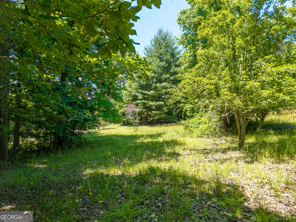 46 Green Kirby LN Blue Ridge, GA 30513