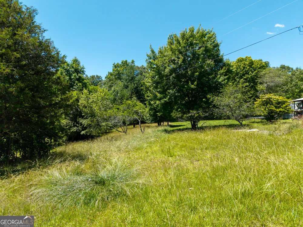 46 Green Kirby LN Blue Ridge, GA 30513