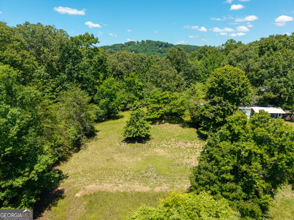 46 Green Kirby LN Blue Ridge, GA 30513