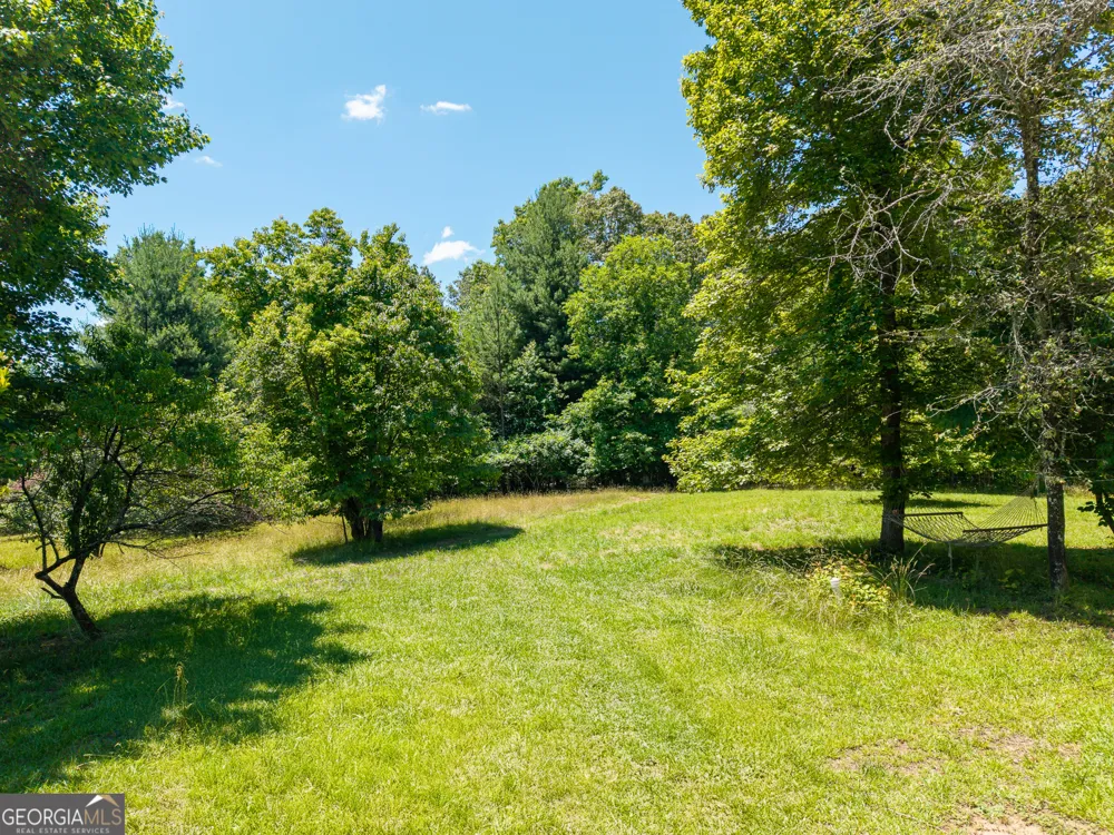 46 Green Kirby LN Blue Ridge, GA 30513