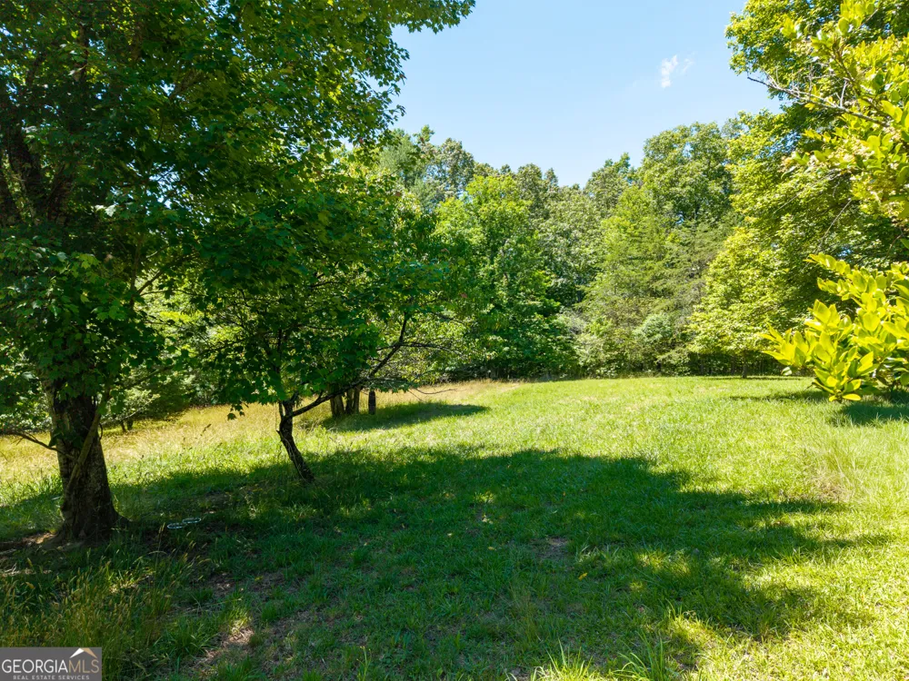 46 Green Kirby LN Blue Ridge, GA 30513