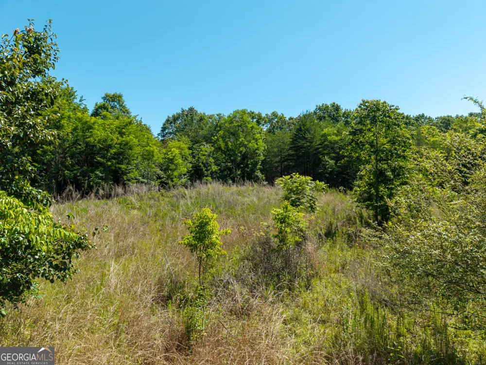 46 Green Kirby LN Blue Ridge, GA 30513