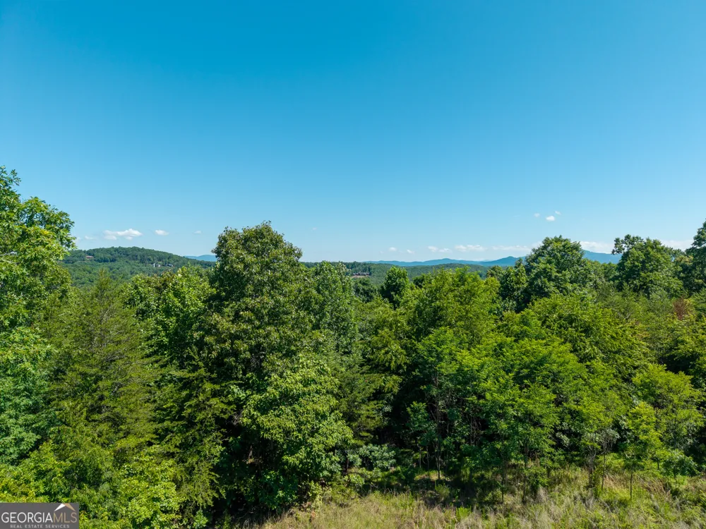 46 Green Kirby LN Blue Ridge, GA 30513