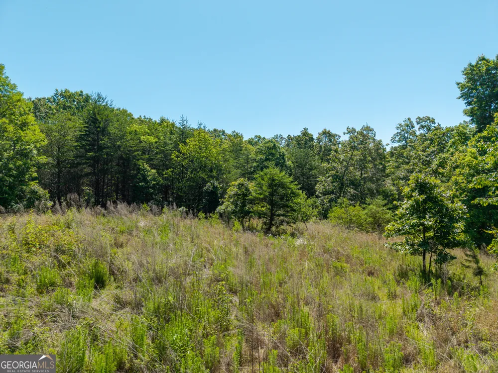46 Green Kirby LN Blue Ridge, GA 30513