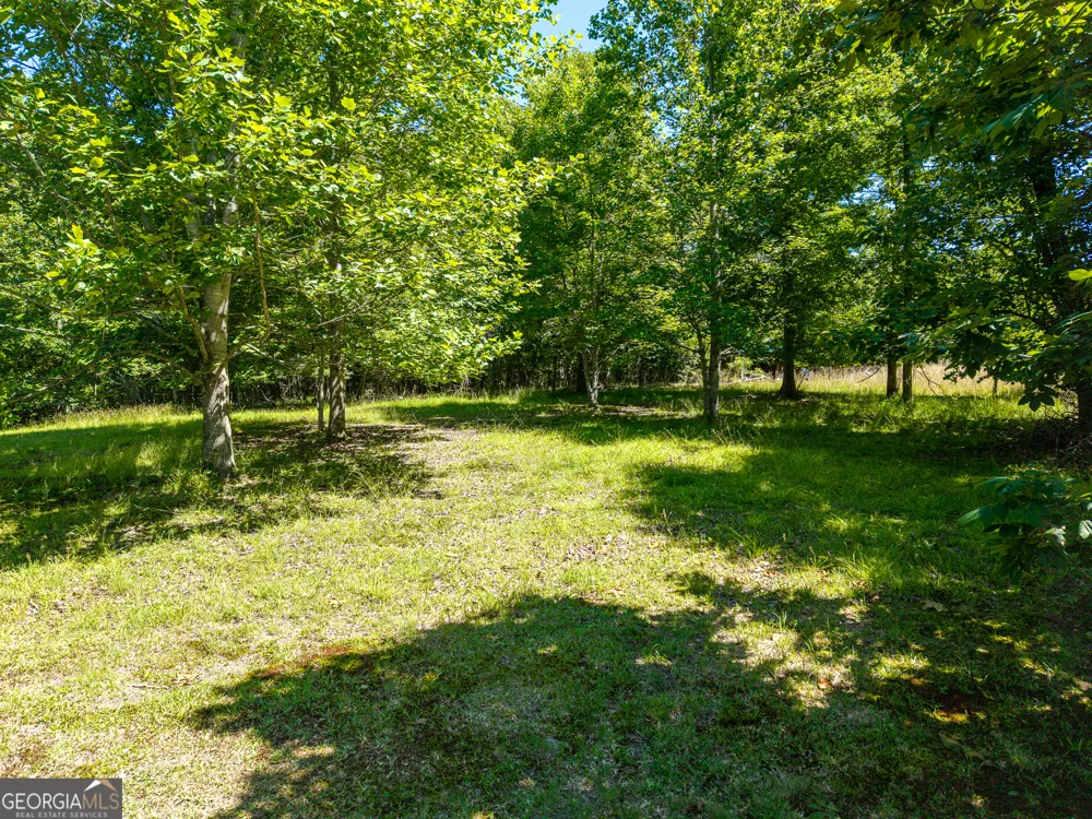 46 Green Kirby LN Blue Ridge, GA 30513