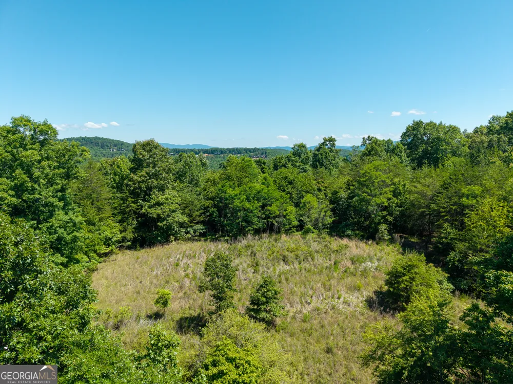 46 Green Kirby LN Blue Ridge, GA 30513