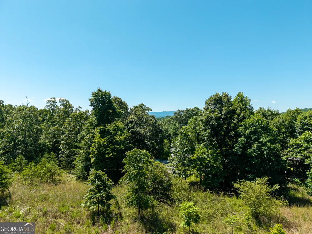 46 Green Kirby LN Blue Ridge, GA 30513