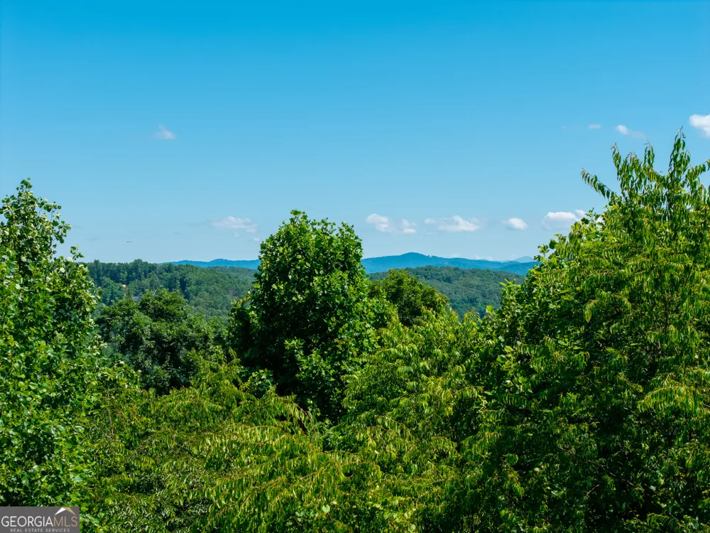 46 Green Kirby LN Blue Ridge, GA 30513