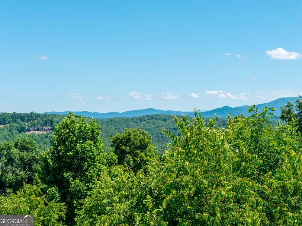 46 Green Kirby LN Blue Ridge, GA 30513