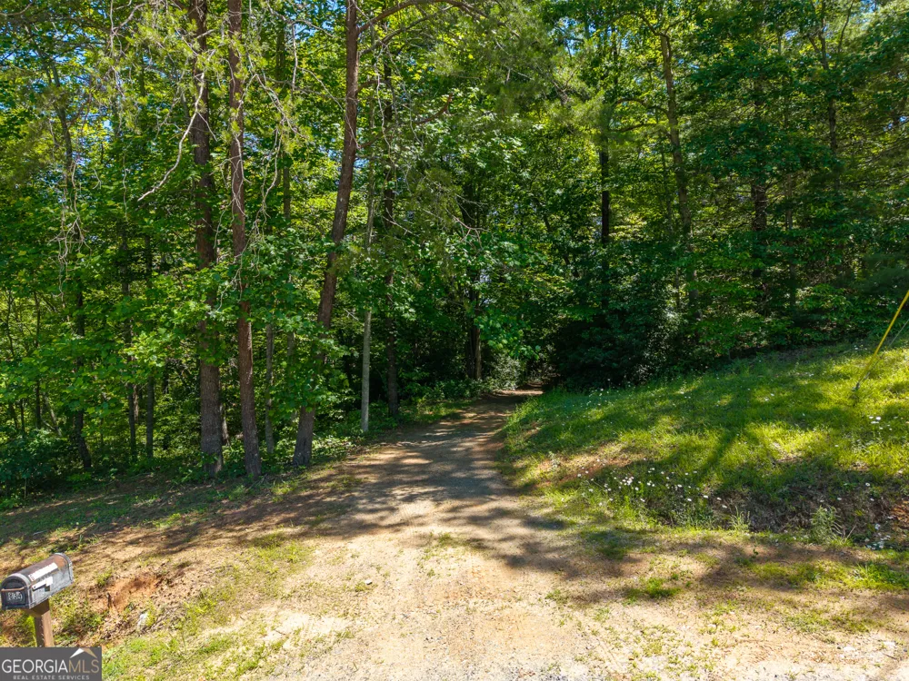 46 Green Kirby LN Blue Ridge, GA 30513