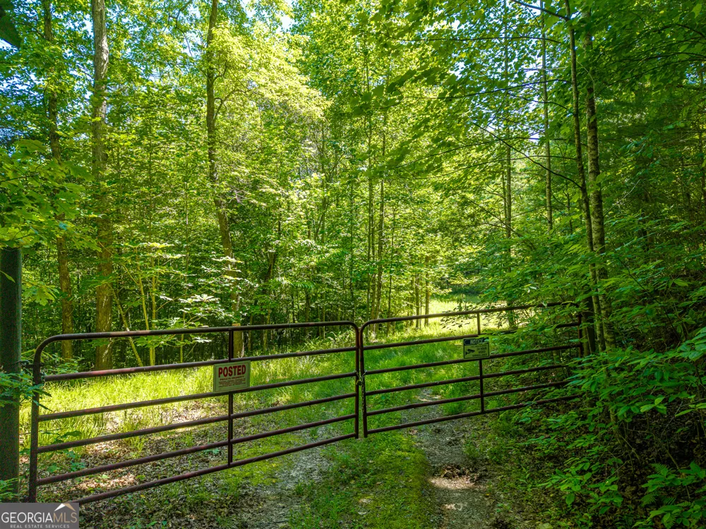 46 Green Kirby LN Blue Ridge, GA 30513