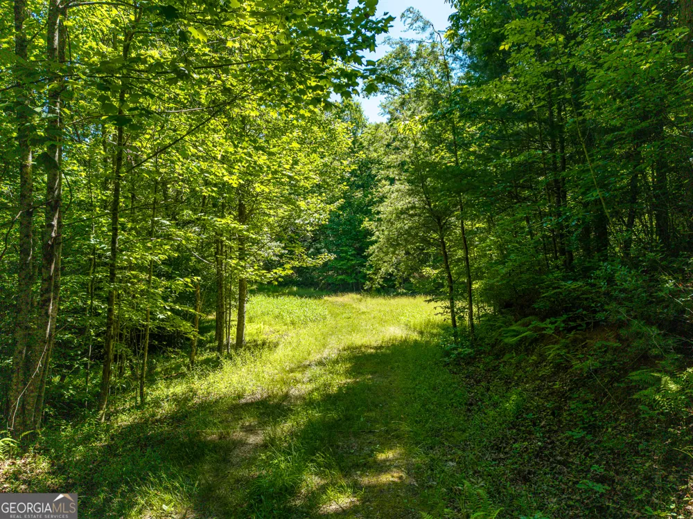 46 Green Kirby LN Blue Ridge, GA 30513