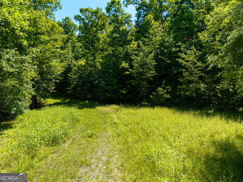 46 Green Kirby LN Blue Ridge, GA 30513