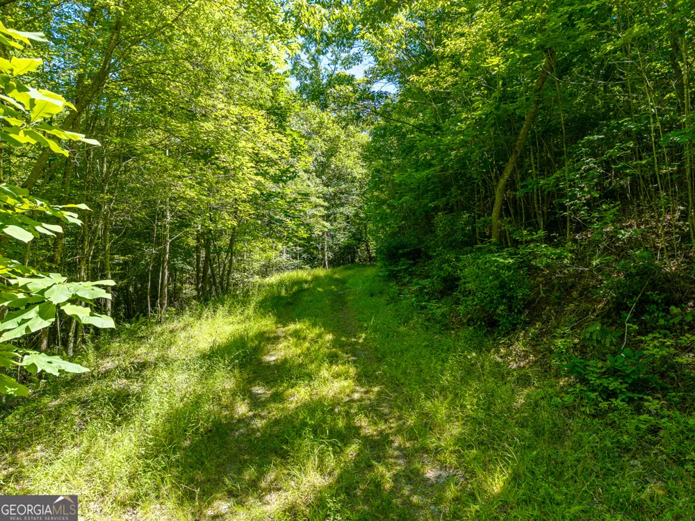 46 Green Kirby LN Blue Ridge, GA 30513