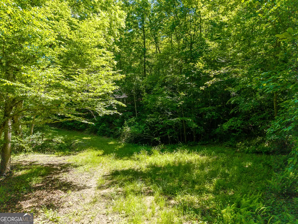 46 Green Kirby LN Blue Ridge, GA 30513