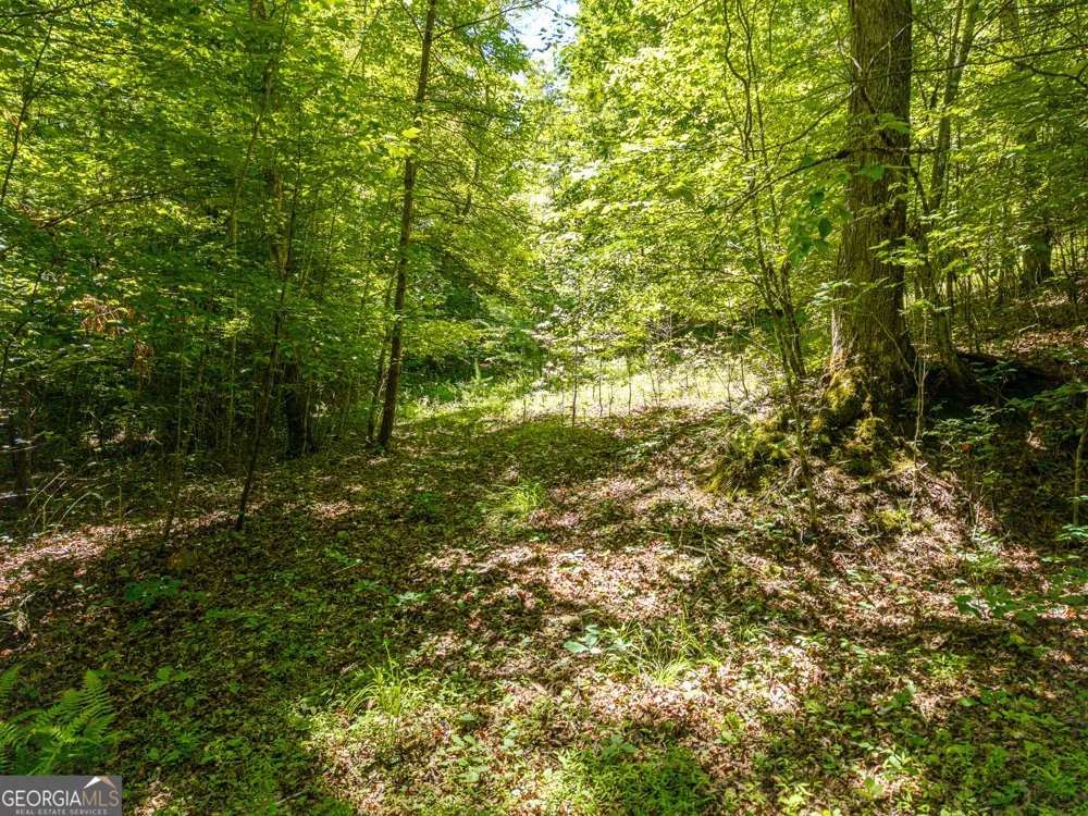 46 Green Kirby LN Blue Ridge, GA 30513