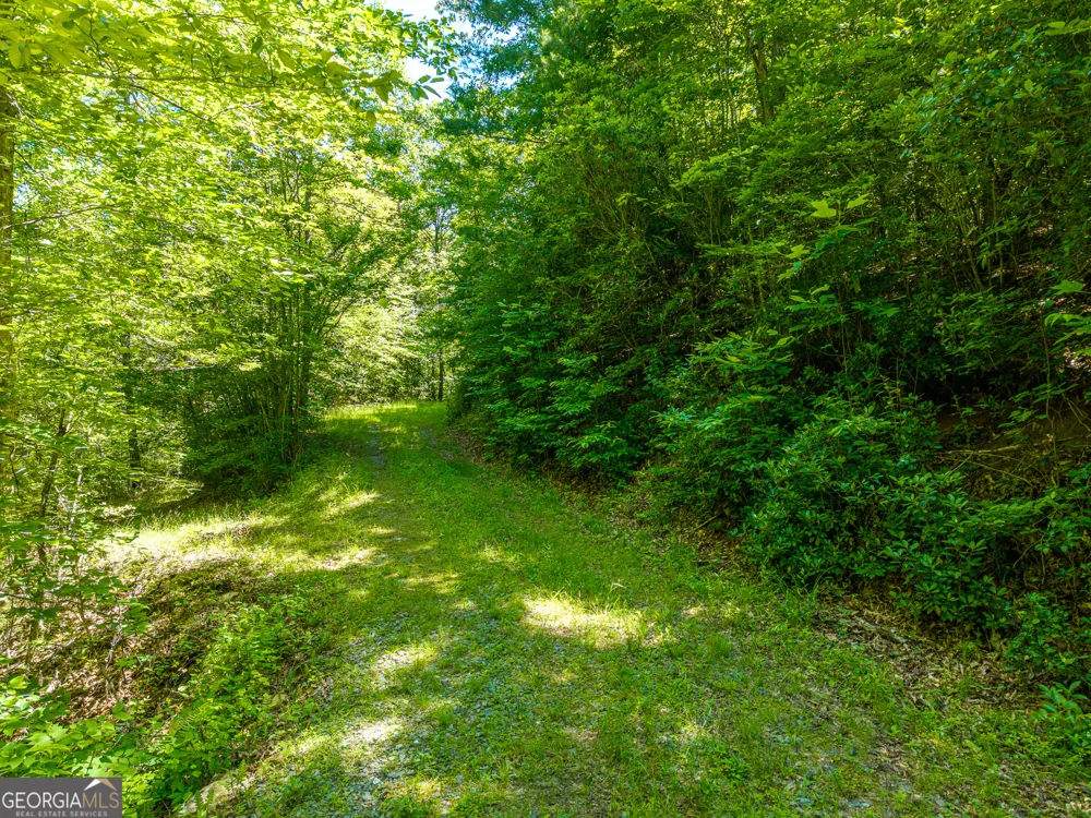 46 Green Kirby LN Blue Ridge, GA 30513