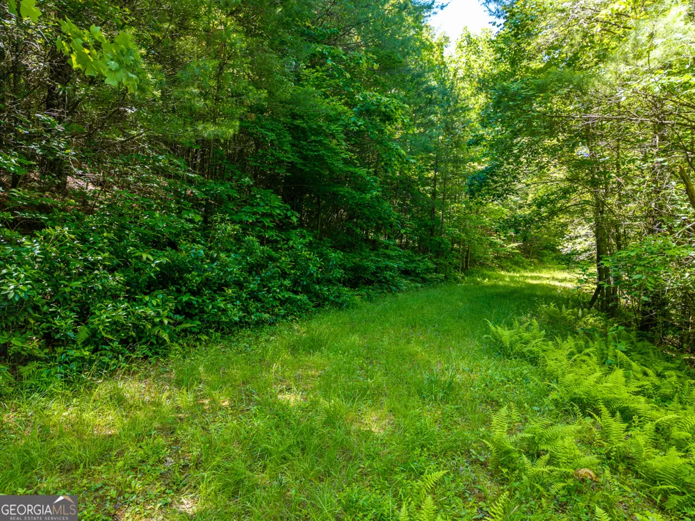 46 Green Kirby LN Blue Ridge, GA 30513