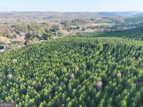 91 +/- Acres on Fosters Mill Rd. (GA Hwy 100)