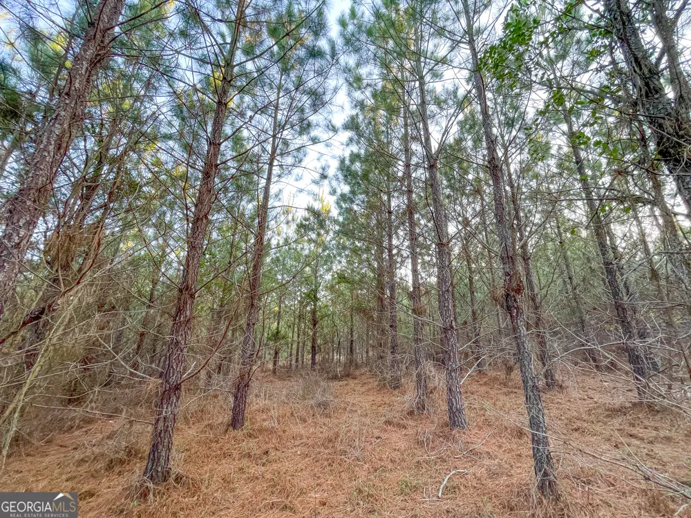 91 +/- Acres on Fosters Mill Rd. (GA Hwy 100) Cave Spring, GA 30124