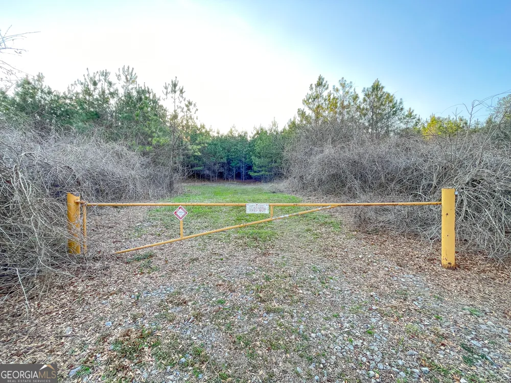 91 +/- Acres on Fosters Mill Rd. (GA Hwy 100) Cave Spring, GA 30124