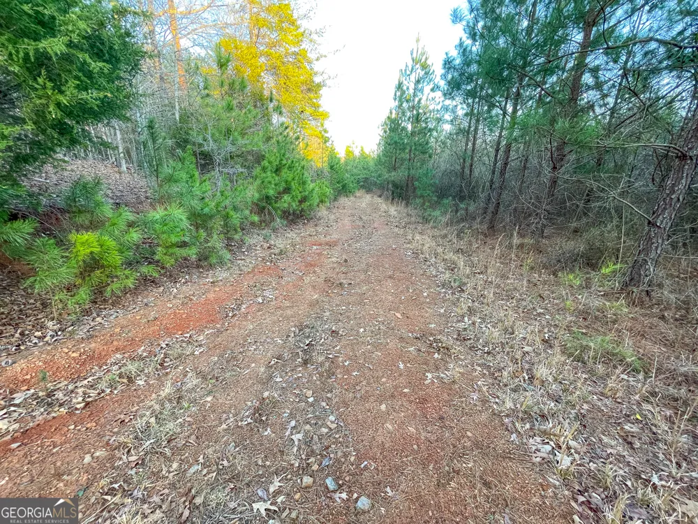 91 +/- Acres on Fosters Mill Rd. (GA Hwy 100) Cave Spring, GA 30124