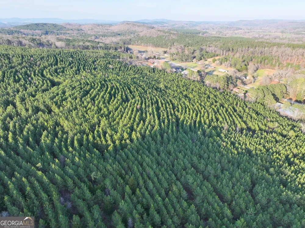 91 +/- Acres on Fosters Mill Rd. (GA Hwy 100) Cave Spring, GA 30124