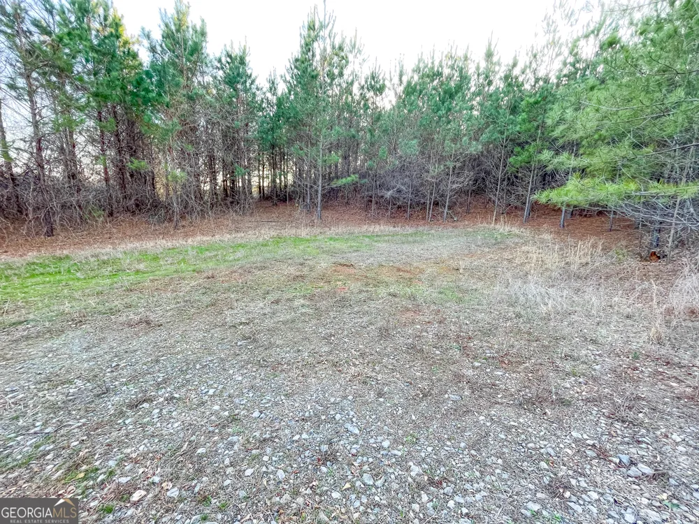 91 +/- Acres on Fosters Mill Rd. (GA Hwy 100) Cave Spring, GA 30124
