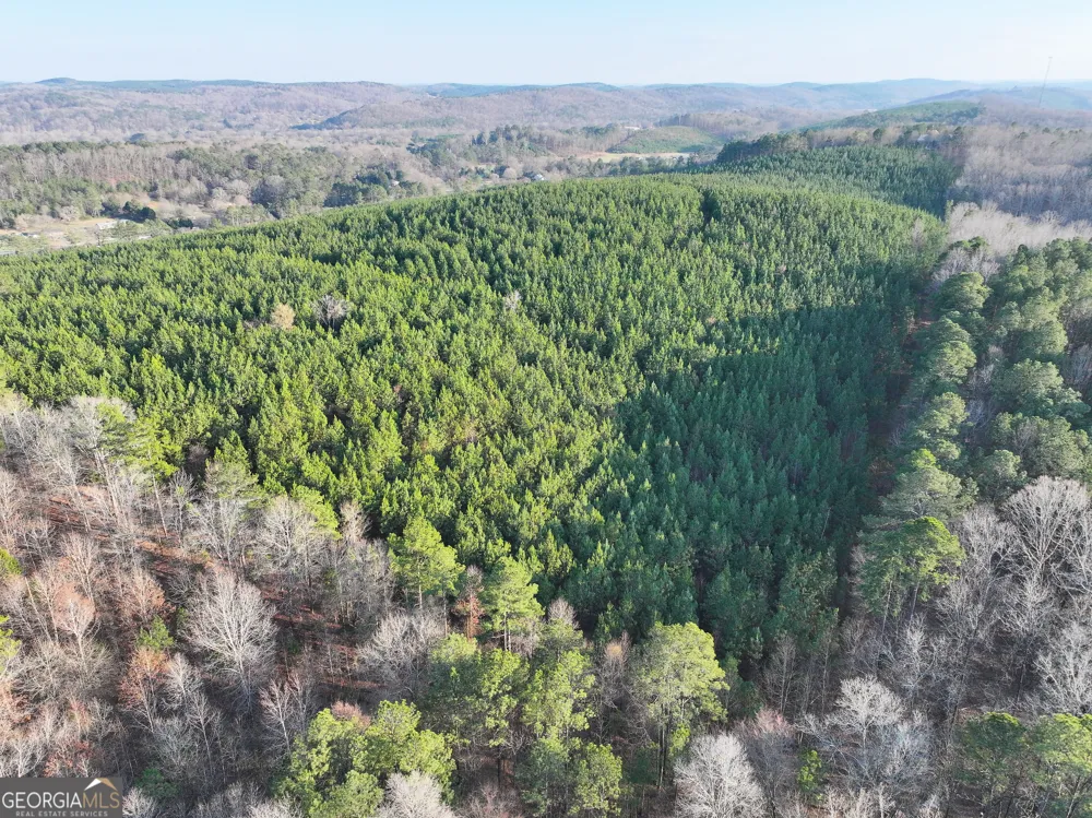91 +/- Acres on Fosters Mill Rd. (GA Hwy 100) Cave Spring, GA 30124