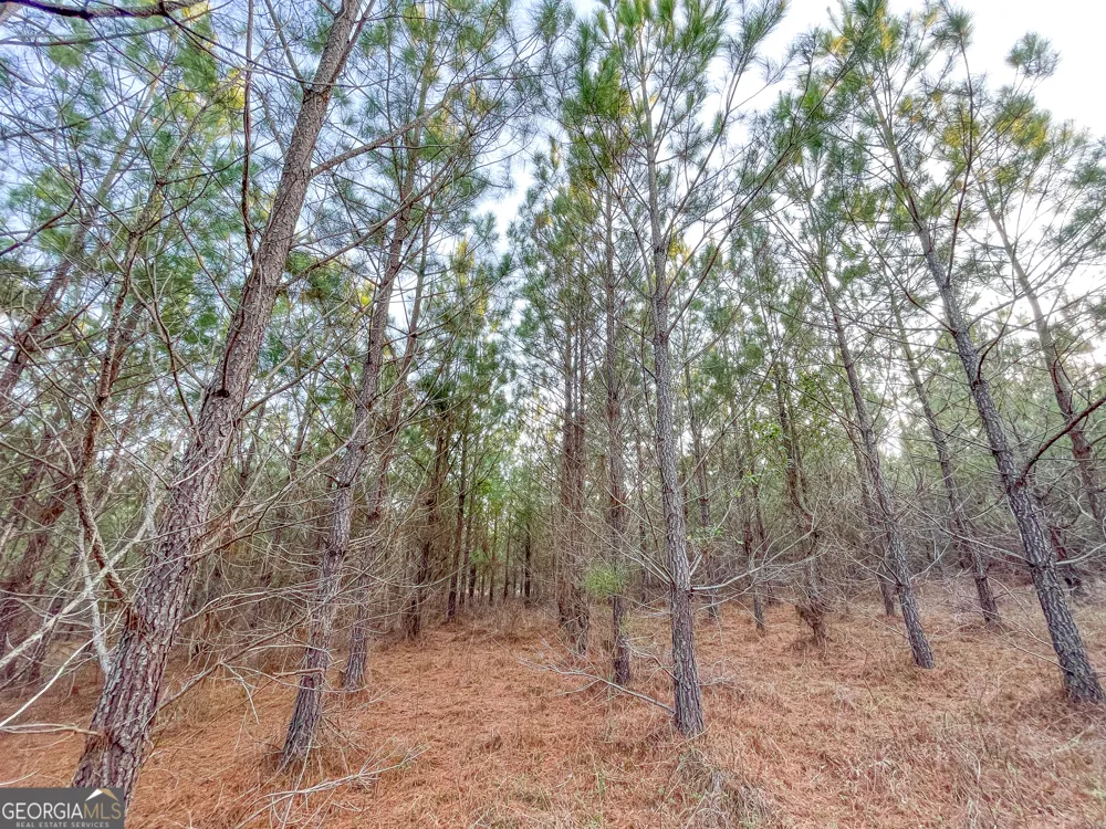 91 +/- Acres on Fosters Mill Rd. (GA Hwy 100) Cave Spring, GA 30124
