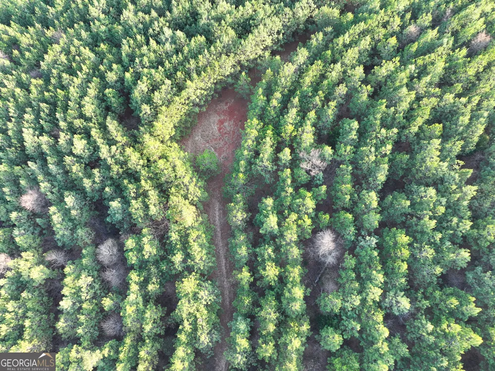 91 +/- Acres on Fosters Mill Rd. (GA Hwy 100) Cave Spring, GA 30124