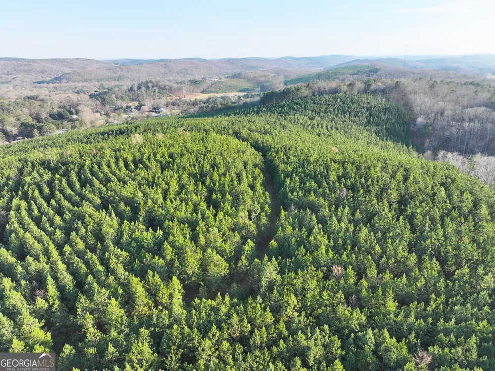 91 +/- Acres on Fosters Mill Rd. (GA Hwy 100) Cave Spring, GA 30124