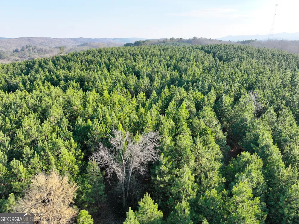 91 +/- Acres on Fosters Mill Rd. (GA Hwy 100) Cave Spring, GA 30124