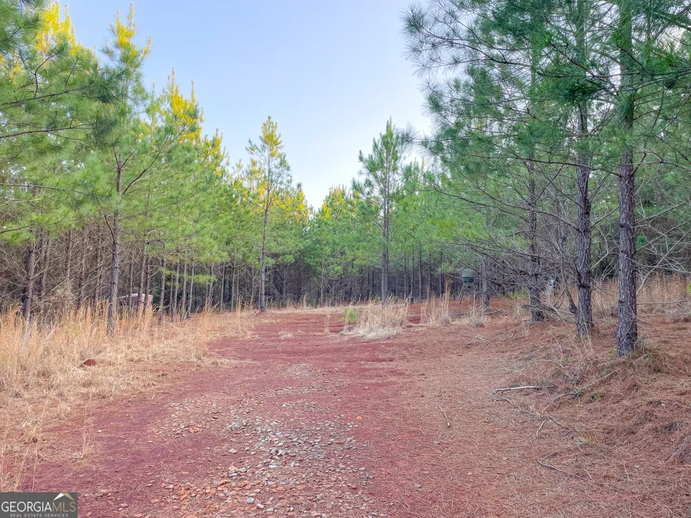 91 +/- Acres on Fosters Mill Rd. (GA Hwy 100) Cave Spring, GA 30124