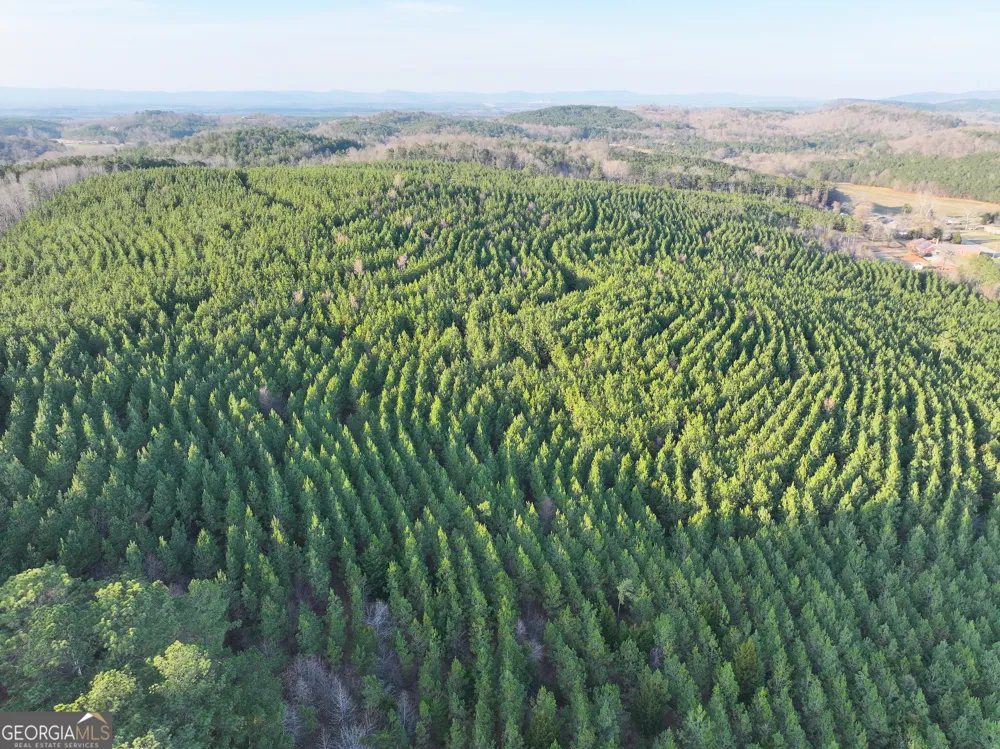91 +/- Acres on Fosters Mill Rd. (GA Hwy 100) Cave Spring, GA 30124