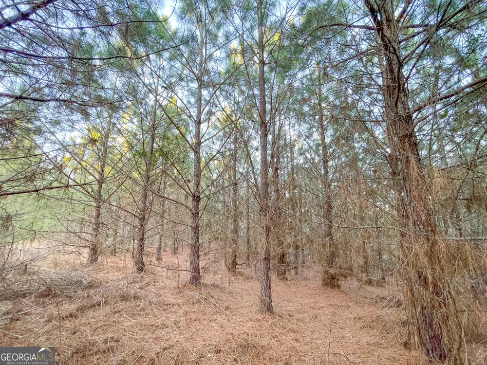 91 +/- Acres on Fosters Mill Rd. (GA Hwy 100) Cave Spring, GA 30124