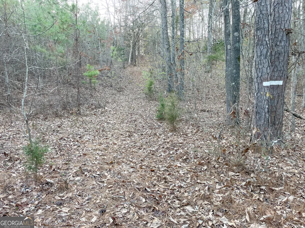91 +/- Acres on Fosters Mill Rd. (GA Hwy 100) Cave Spring, GA 30124