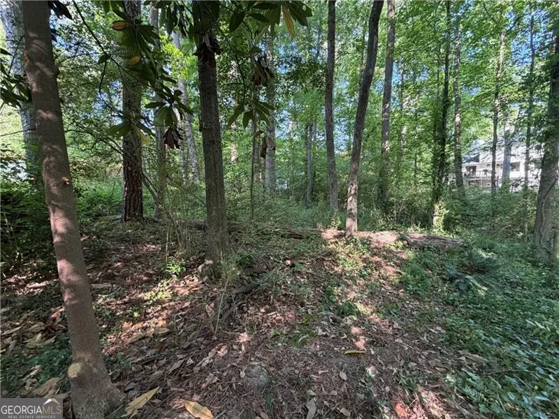 0 Manning DR Alpharetta, GA 30009