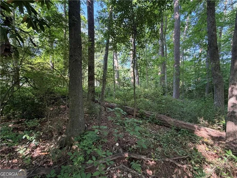 0 Manning DR Alpharetta, GA 30009