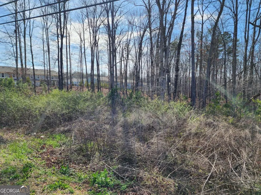 0 Highway 92 Douglasville, GA 30134